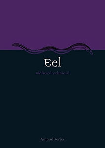 Eel 