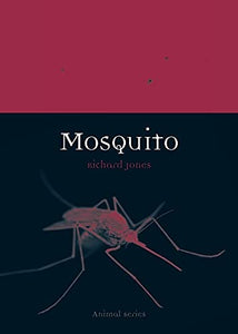 Mosquito 