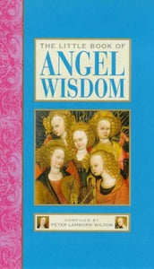 The Little Book of Angel Wisdom 