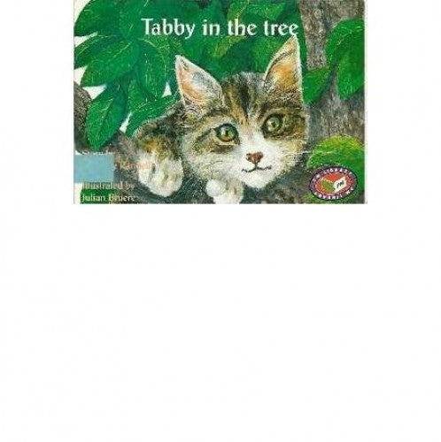 Tabby in the tree