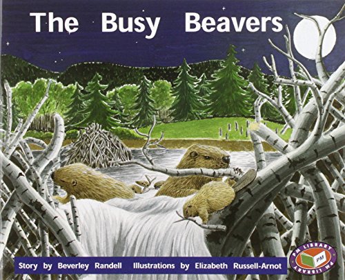 The Busy Beavers