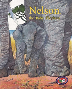 Nelson, the baby Elephant 