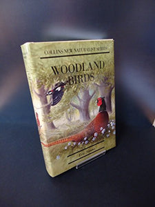 Woodland Birds 