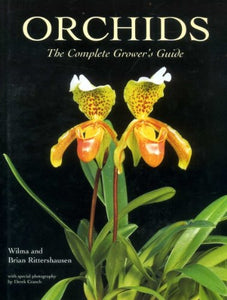 Orchids 