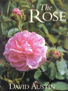 The Rose 