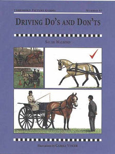 Driving Dos and Don'ts 