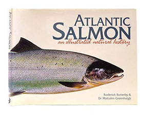 Atlantic Salmon 