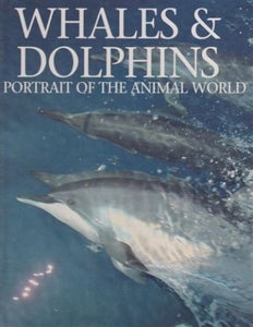 Whales and Dolphins 