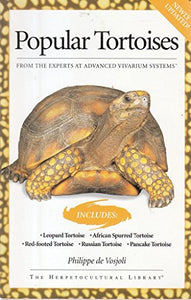 Popular Tortoises 