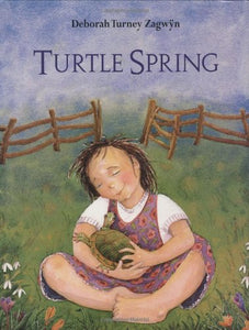 Turtle Spring 