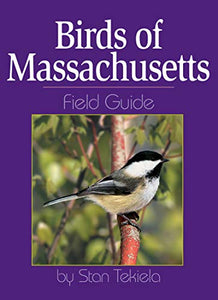 Birds of Massachusetts Field Guide 