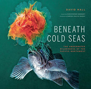 Beneath Cold Seas 