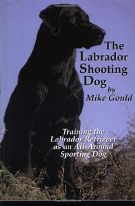 Labrador Shooting Dog 