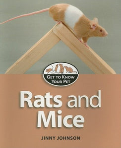 Rats and Mice 