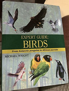 Expert Guide 