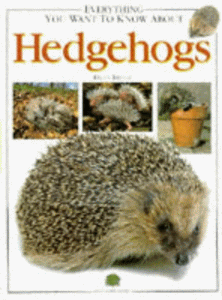 Everything You Want to Know About Hedgehogs 