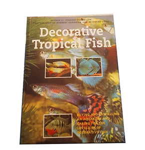 Decorative Tropical Fish 