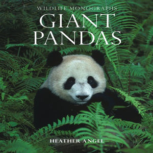 Giant Pandas 