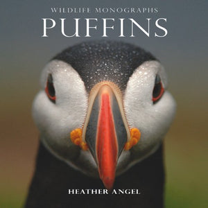 Puffins 