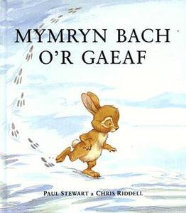 Cyfres Storïau Cwningen a Draenog: Mymryn Bach o'r Gaeaf 