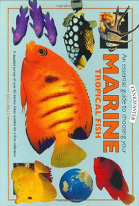 An Essential Guide to Choosing Your Marine Tropical Fish 