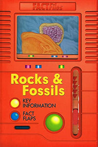 FACT FILES ROCKS & FOSSILS 