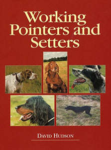 Working Pointers and Setters 