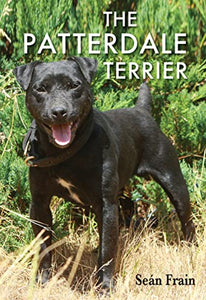 The Patterdale Terrier 