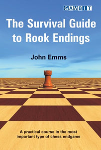 The Survival Guide to Rook Endings 