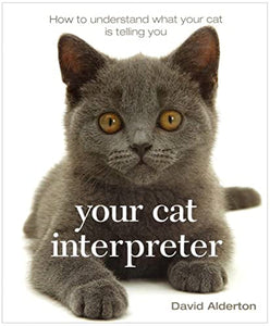 Your Cat Interpreter 