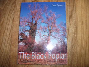 The Black Poplar 