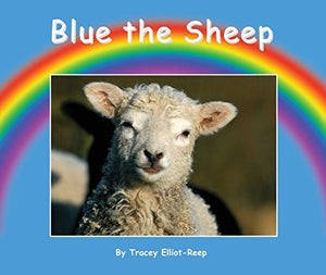 Blue the Sheep 