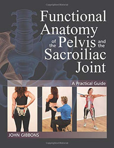 Functional Anatomy of the Pelvis and the Sacroiliac Joint 