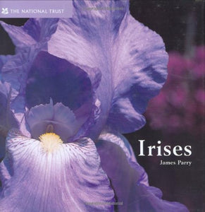 Irises 