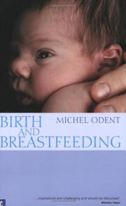 Birth and Breastfeeding 