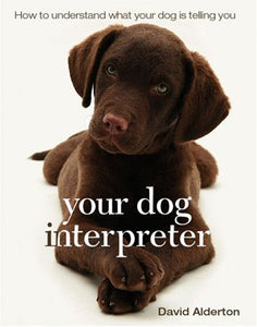 Your Dog Interpreter 