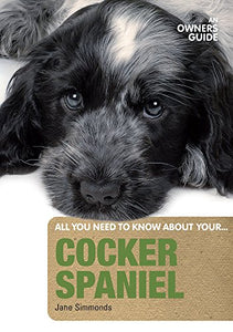 Cocker Spaniel 