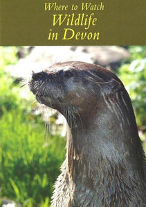 Where to Watch Wildlife in Devon 