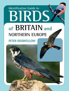 Identification Guide to Birds of Britain and Northern Europe 