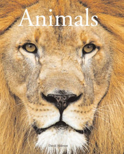 Encyclopedia of Animals 