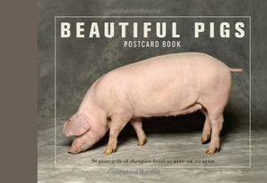 Beautiful Pigs Postcard Books 