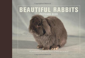 Beautiful Rabbits Postcard Book 