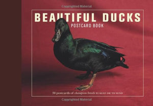 Beautiful Ducks Postcard Book 