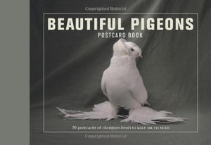 Beautiful Pigeons Postcard Book 