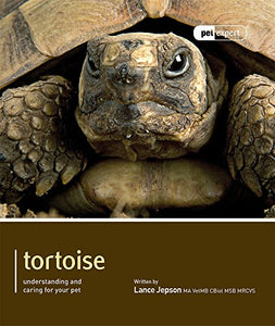 Tortoise - Pet Expert 