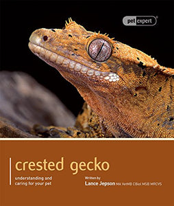 Crested Gecko - Pet Expert 