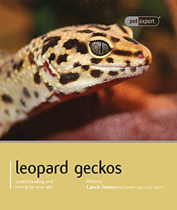 Leopard Gecko - Pet Expert 