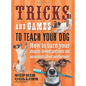 Tricks and Games to Teach Your Dog 