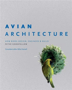 Avian Architecture 