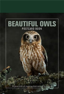 Beautiful Owls Postcard Book 